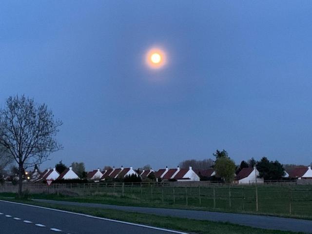 Duinendaele 232 Met Sauna Bij Plopsaland En Natuurreservaat เดอปาน ภายนอก รูปภาพ